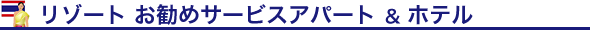^C̃][g IXX̃T[rXAp[gEize