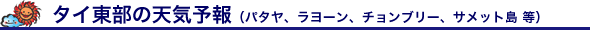^C̓VCi[A`u[Ag[gATPIA`^u[EEEj